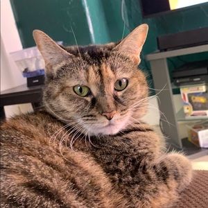 Meet your Posher, Alex